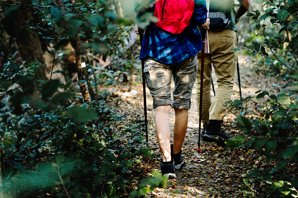 How Long Should A Hiking Staff Be? (We Find Out)