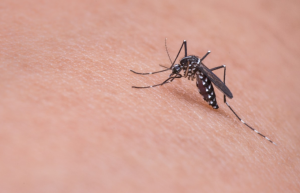UK HealthCare Provides Update on Preparedness for Zika Virus