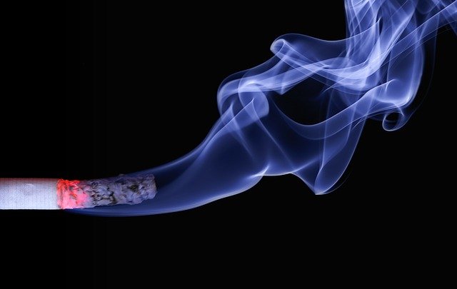 UofL Researchers to Explore the Lifetime Effects of Cigarette Smoke, Genetics on Infertility