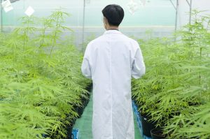 Quarles Urges Feds to Reconsider Positions That Could Hinder Industrial Hemp Research