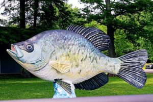 KY Lake on the Verge of Great Crappie Fishing