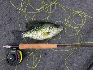 WK Outdoors - KY Lake Crappie Fishing Heating Up
