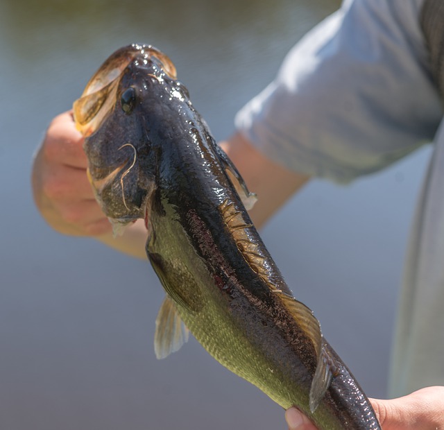 Bass Fishing Lures Students onto the Water